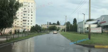 Водителей обязали уступать дорогу транспорту с мигалками!