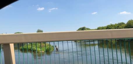 Липчанин попался на купании в запрещённом месте