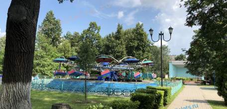 Почти 5000 человек покусали клещи в Липецкой области! Это только по официальным данным, те кто обратился за помощью!