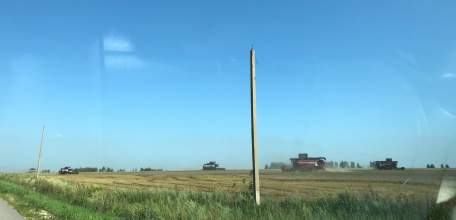 В Елецком районе во дворе дома нашли труп.