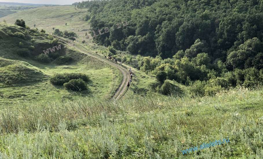 Елецкий «Гранд Каньон» находится у реки Пальна. А женщина с лошадьми мутит воду в реке!