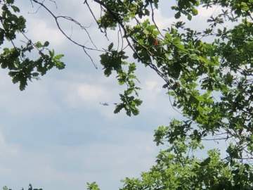 1 БПЛА сбит этой ночью над Липецкой областью!