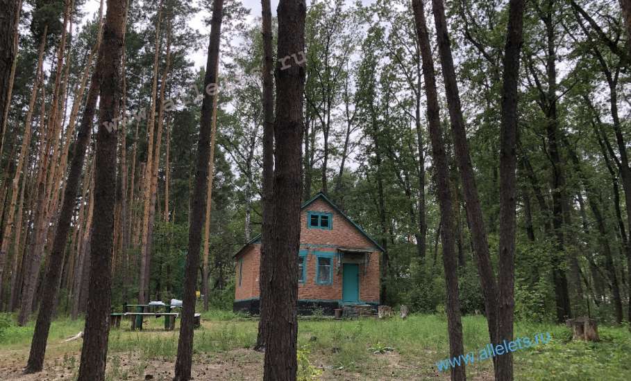 Ностальгия по турбазам в Задонском районе