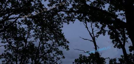 Отбой Красного уровня "Угроза атаки БПЛА" для г. Елец, Елецкого МР