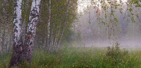 В Липецкой области понизился класс пожарной опасности после дождей