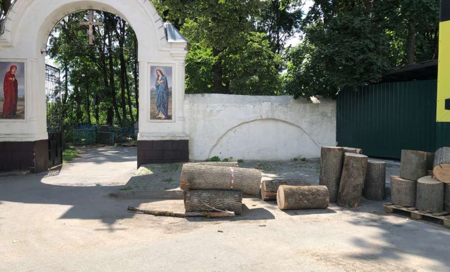 На старом городском кладбище в Ельце продолжается опиловка деревьев. Обрубки падают на могилы!