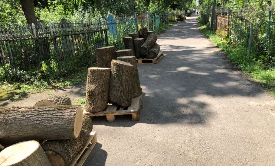 На старом городском кладбище в Ельце продолжается опиловка деревьев. Обрубки падают на могилы!