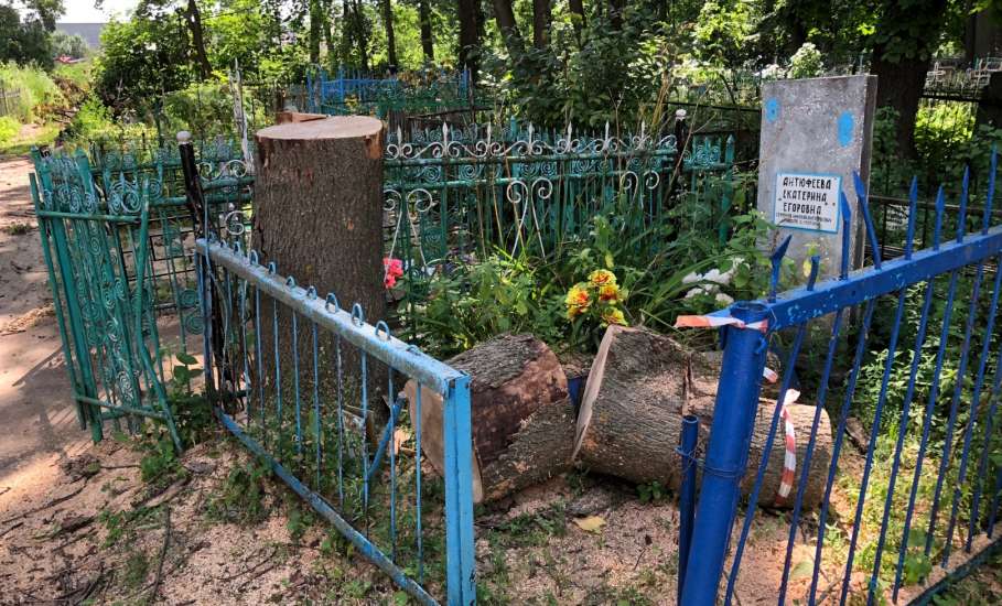 На старом городском кладбище в Ельце продолжается опиловка деревьев. Обрубки падают на могилы!