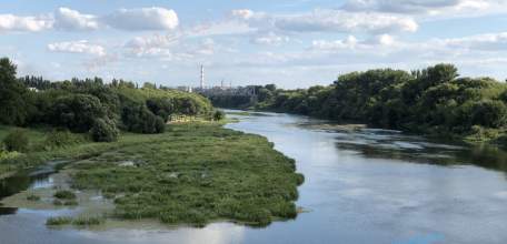 SOS! В Ельце река Сосна продолжает мелеть быстрыми темпами!