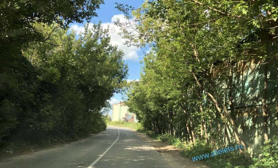 Обращение жителей Ельца к главе города