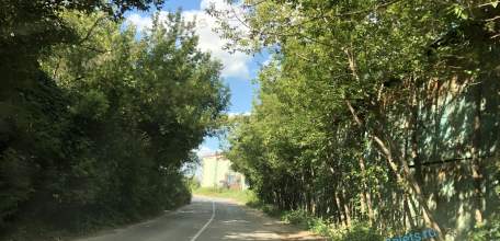 Обращение жителей Ельца к главе города