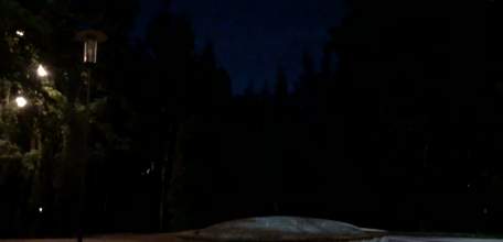 Сирена завыла в Ельце! Угроза воздушной атаки города!