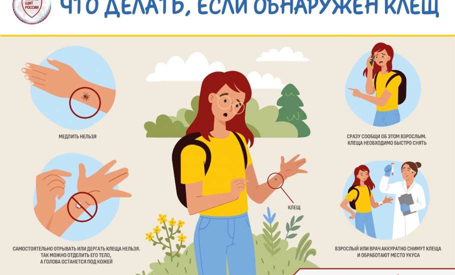 Клещи покусали 2374 ребёнка в Липецкой области, это только по официальным данным!