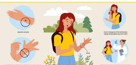 Клещи покусали 2374 ребёнка в Липецкой области, это только по официальным данным!