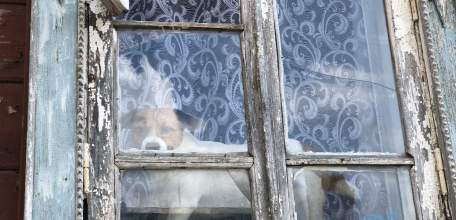 Пенсии в России предложили индексировать ежеквартально