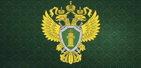 Вместо легкого заработка лишился автомобиля и свободы житель Ельца