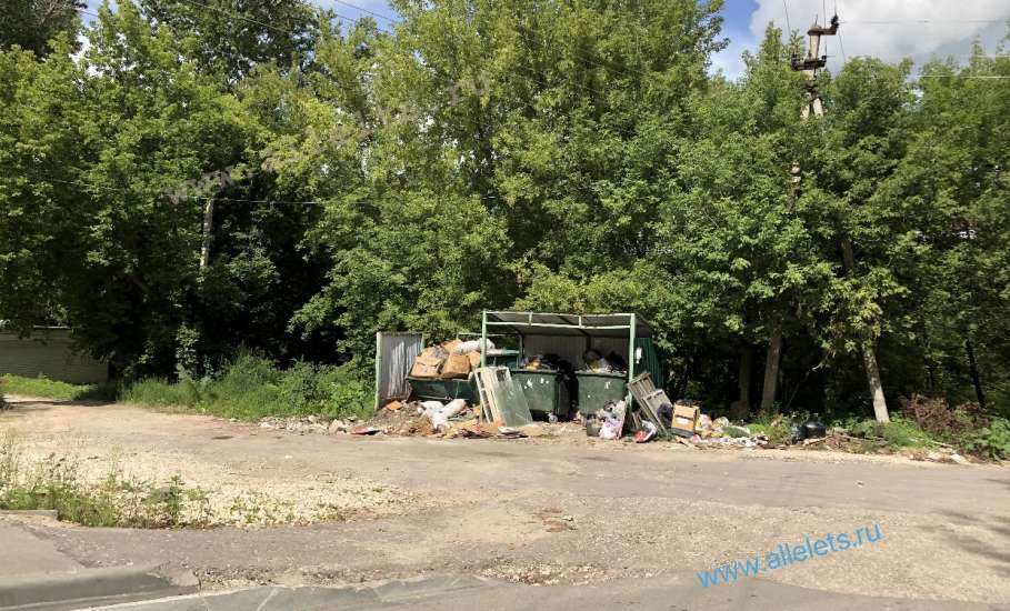 Обзор сегодняшних свалок в городе Ельце!