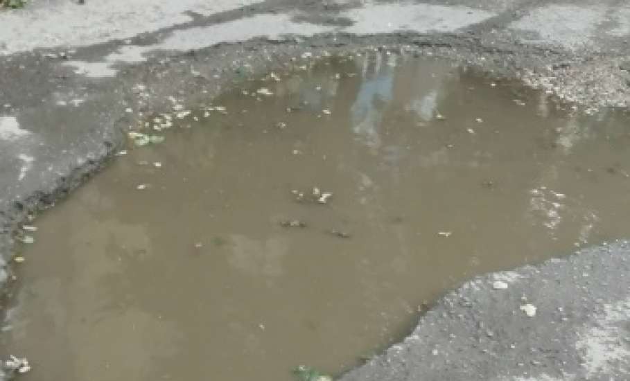 Жители Ельца жалуются, что обращения к депутату, главе города и губернатору Липецкой области не помогают!