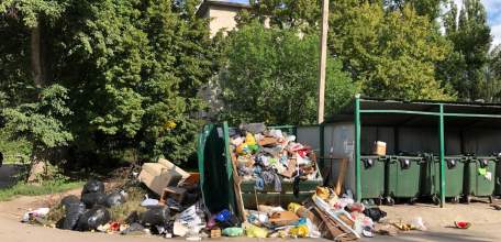 В Ельце крысы бегают на мусорках! Полная антисанитария! Бункеры переполнены!