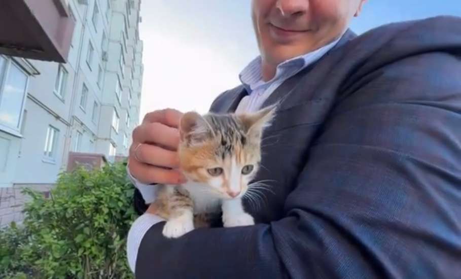 Мэр Ельца Вячеслав Жабин забрал себе спасённого котёнка!