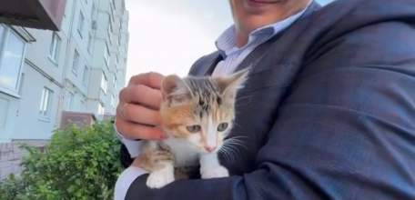 Мэр Ельца Вячеслав Жабин забрал себе спасённого котёнка!
