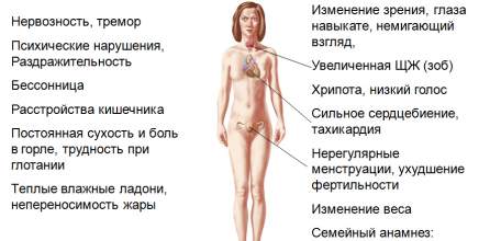 Лечение щитовидной и околощитовидных желез в Клинике доктора Шаталова