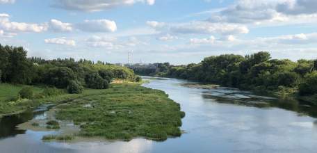 Над российскими регионами уничтожено 49 БПЛА