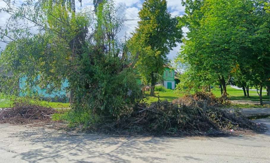 В Ельце больше месяца не могут вывести спиленные ветки в районе Бугра!