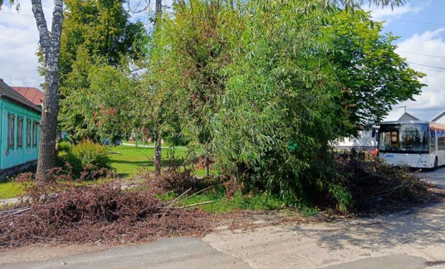 В Ельце больше месяца не могут вывести спиленные ветки в районе Бугра!