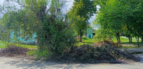 В Ельце больше месяца не могут вывести спиленные ветки в районе Бугра!