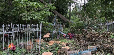 На старом городском кладбище в Ельце продолжается опиловка деревьев. Много могил и оградок повреждено!