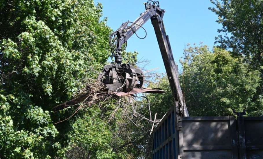 В Ельце сегодня убирали несанкционированную свалку мусора