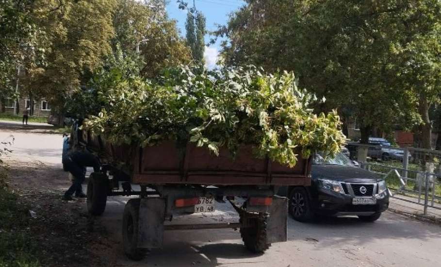 Сотрудники МУП «Елец-Сервис» продолжают работы по благоустройству города