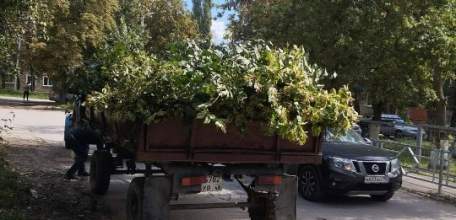 Сотрудники МУП «Елец-Сервис» продолжают работы по благоустройству города