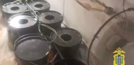 В Липецкой области задержан наркоагроном из Ельца, который выращивал коноплю на втором этаже загородного дома!