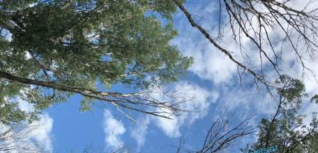 В Орловской области пострадал один человек при отражении атак БПЛА!