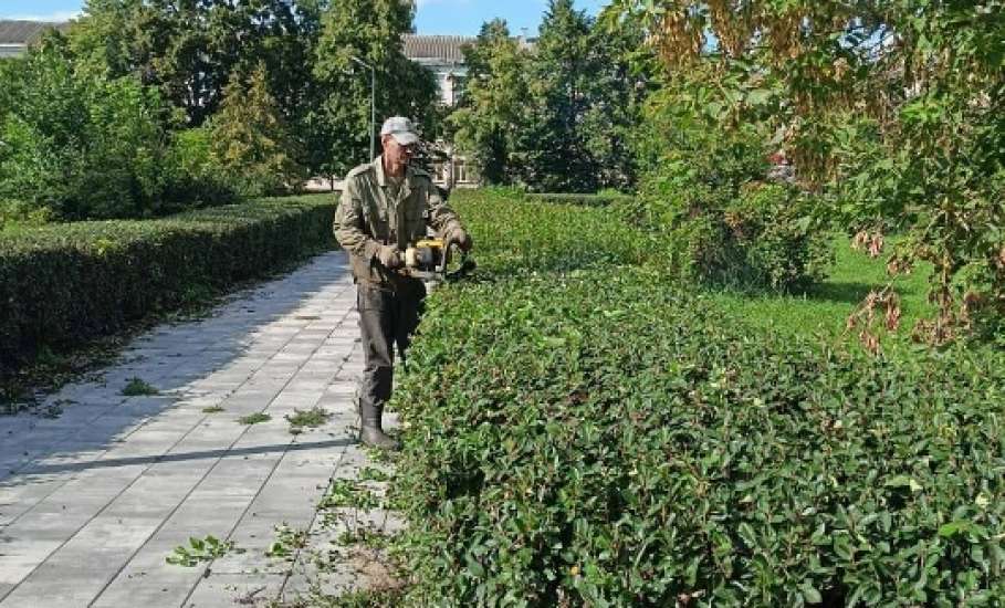 Сотрудники МУП «Елец-Сервис» продолжают работы по благоустройству города