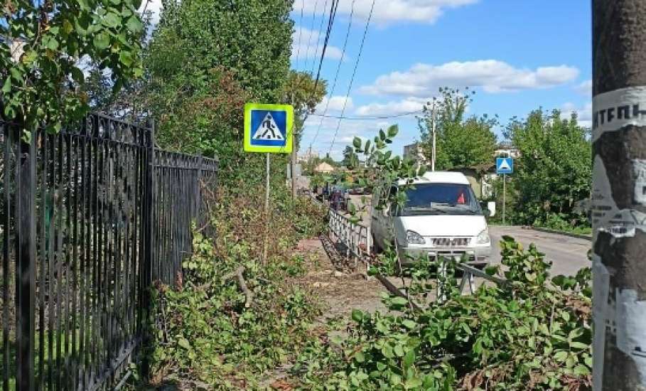 Сотрудники МУП «Елец-Сервис» продолжают работы по благоустройству города