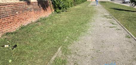 Сегодня по улице Свердлова в Ельце покосили траву… Загадили тротуар и не вывезли мусор!