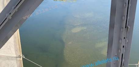 Река Сосна в Ельце скоро может просто пересохнуть!