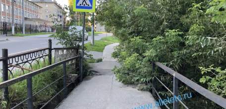 Ручей Лучок зарос бурьяном и деревьями! Одна показуха была с расчисткой русла!