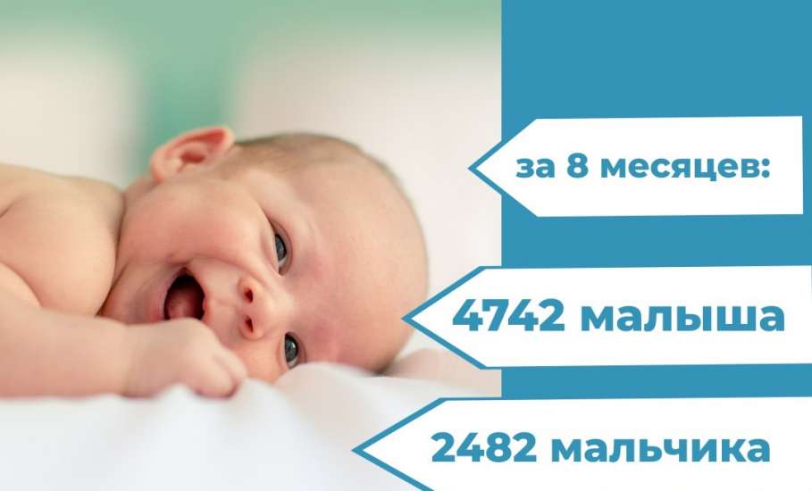 За 8 месяцев этого года в нашем регионе появились на свет 4742 малыша!