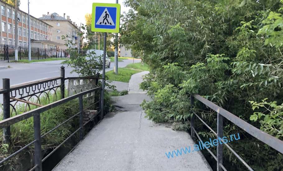 В Ельце местная жительница признана виновной в убийстве бабушки