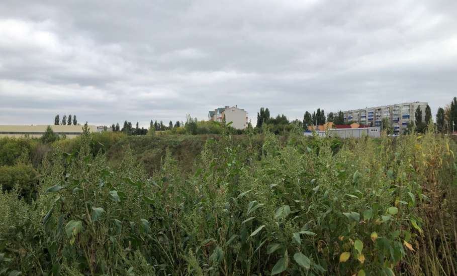 Заросшую бурьяном громадную свалку мусора в центре города Ельца за ДК «Эльта» продолжают заваливать мусором!