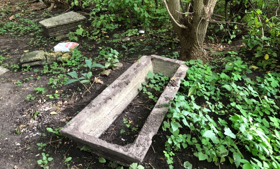 На старом городском кладбище Ельца повреждено множество могил, оградок, асфальтовый тротуар, при опиловке и вывозе деревьев!