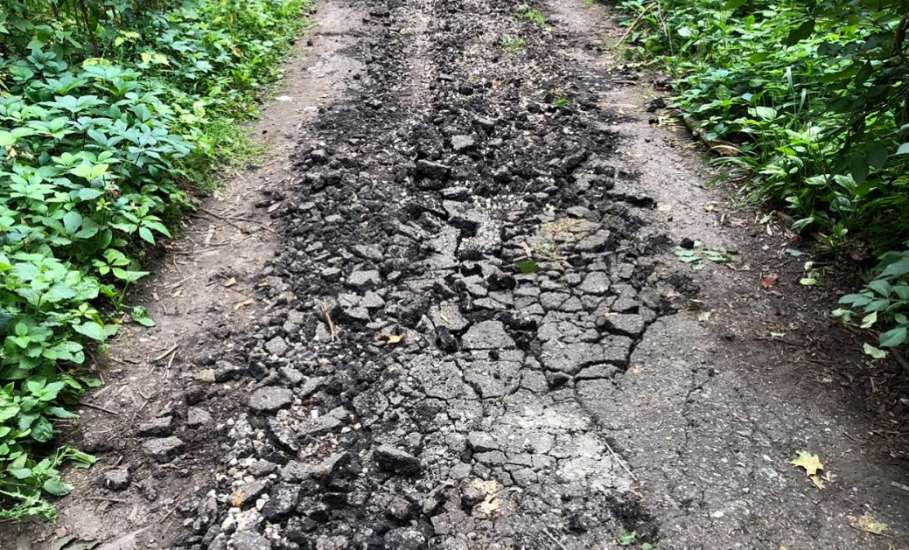 На старом городском кладбище Ельца повреждено множество могил, оградок, асфальтовый тротуар, при опиловке и вывозе деревьев!