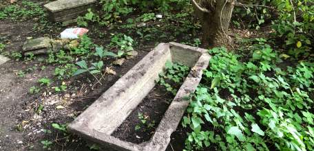 На старом городском кладбище Ельца повреждено множество могил, оградок, асфальтовый тротуар, при опиловке и вывозе деревьев!