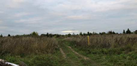 А.И. Бастрыкин поручил доложить о результатах проверки по обращению о ненадлежащей дорожной инфраструктуре в с. Рогатово Липецкой области!