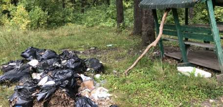 Проблему мусора и захламлённости территории Ельца и Елецкого района нужно решать незамедлительно!