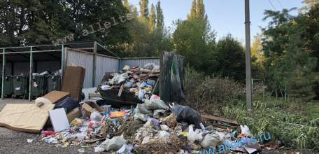 Санитарная обстановка в Ельце стала ужасная! Антисанитария! Крысы бегают уже по всему городу!